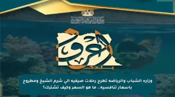 وزارة الشباب والرياضة تطرح رحلات صيفية إلى شرم الشيخ ومطروح بأسعار تنافسية.. ما هو السعر وكيف تشترك؟